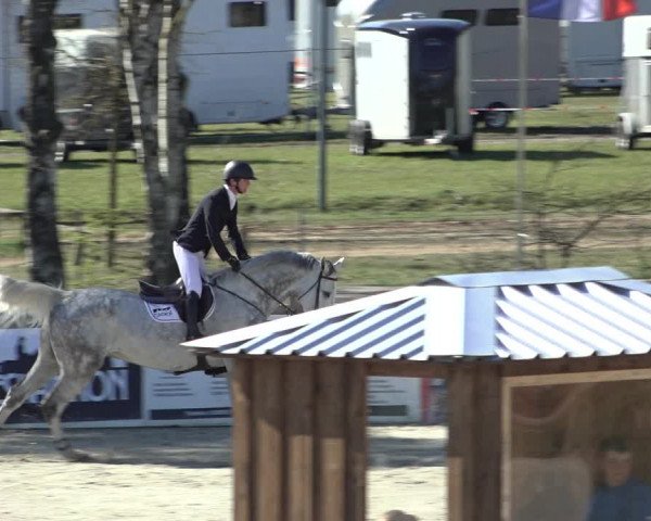 FEI Reitturnier Westergellersen (GER) 2022