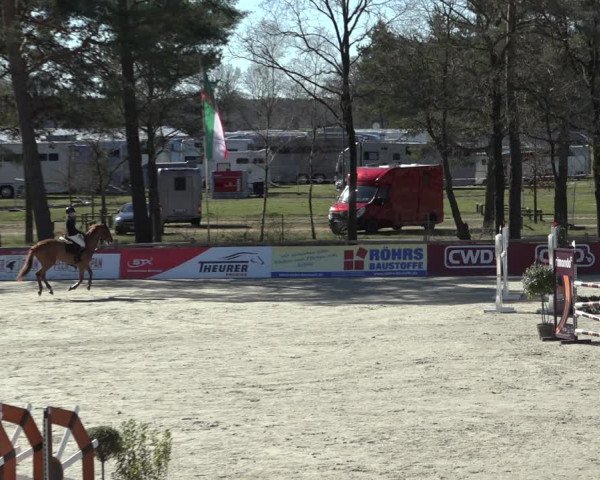 FEI Reitturnier Westergellersen (GER) 2022