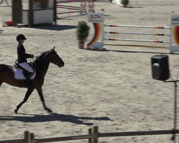 FEI Reitturnier Westergellersen (GER) 2022