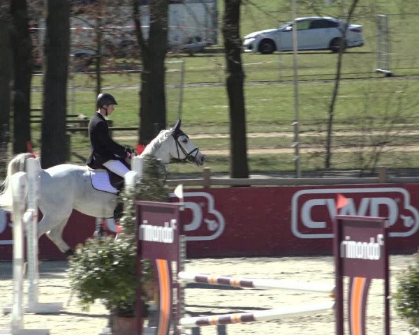 FEI Reitturnier Westergellersen (GER) 2022