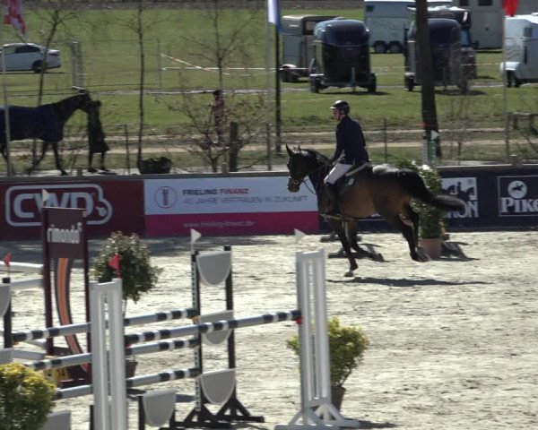FEI Reitturnier Westergellersen (GER) 2022