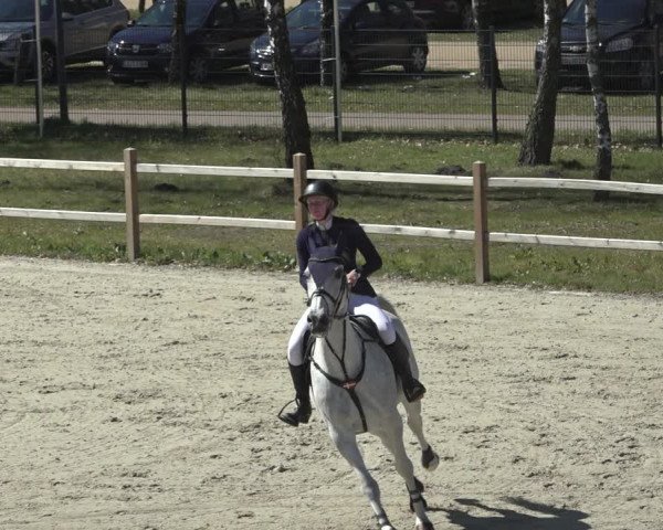 FEI Reitturnier Westergellersen (GER) 2022