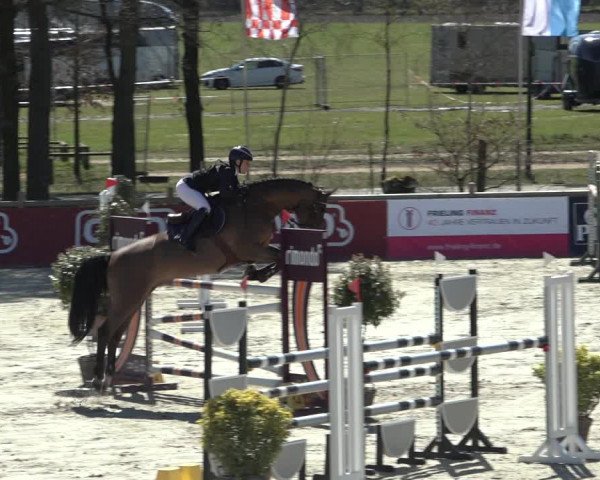 FEI Reitturnier Westergellersen (GER) 2022