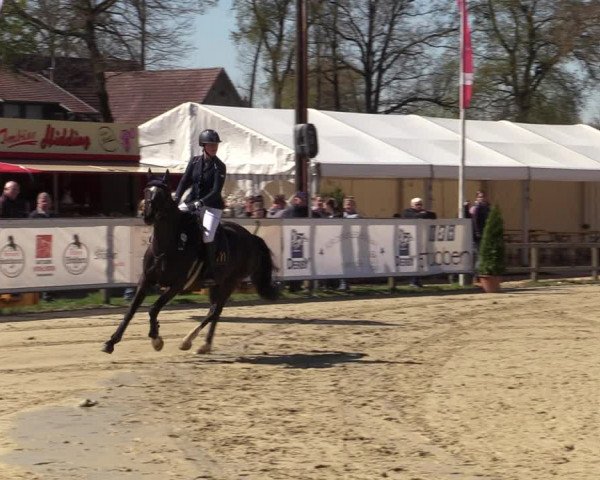 Reitturnier Münster-Handorf | Champs of Tomorrow 2022