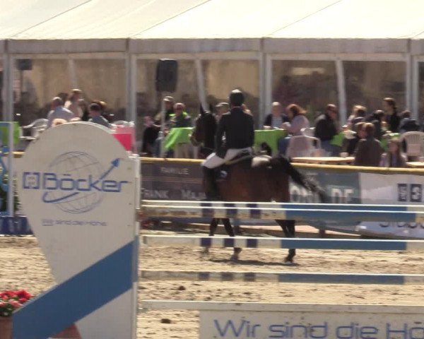 Reitturnier Werne-Lenklar 2022