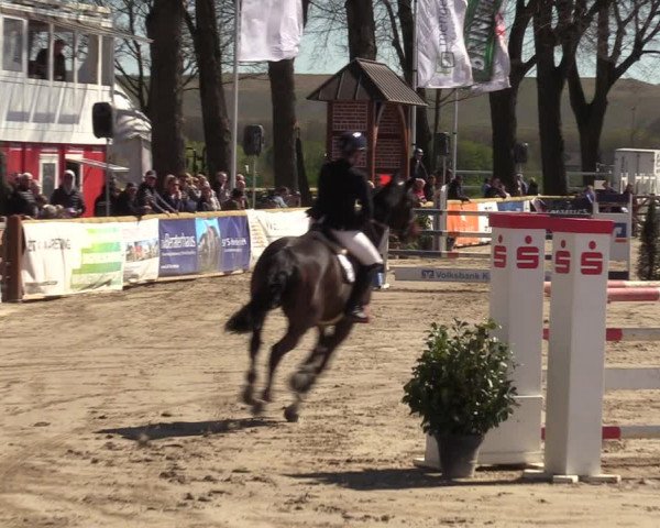 Reitturnier Werne-Lenklar 2022