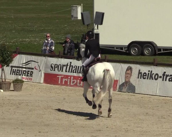 FEI Reitturnier Westergellersen (GER) 2022