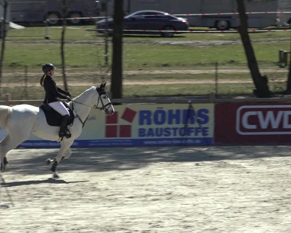 FEI Reitturnier Westergellersen (GER) 2022