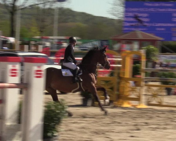 Reitturnier Werne-Lenklar 2022