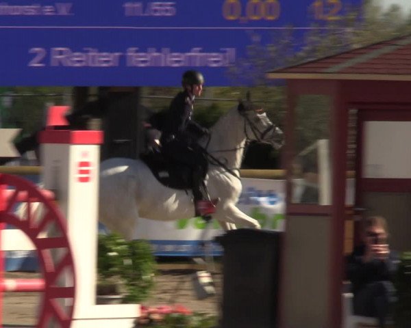 Reitturnier Werne-Lenklar 2022