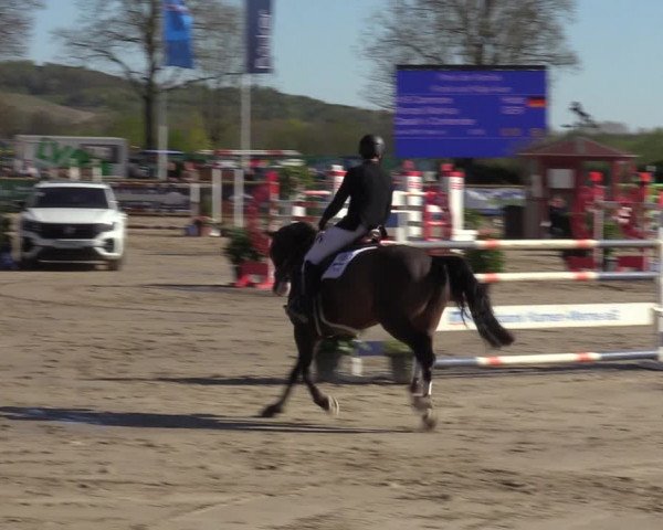 Lenklarer Reitertage 2022 (Werne)