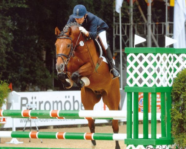 broodmare Gretchen (Oldenburg show jumper, 2003, from Lovis Corinth)