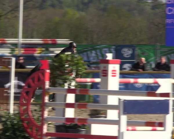 Reitturnier Werne-Lenklar 2022