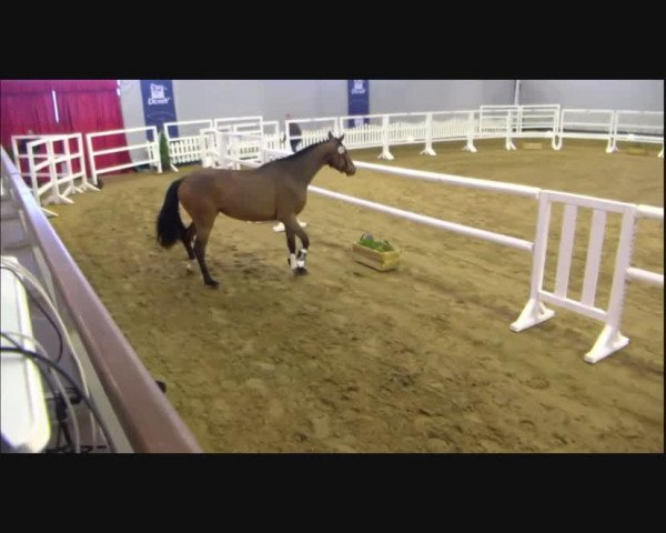 Video von Comme le Chica EH
