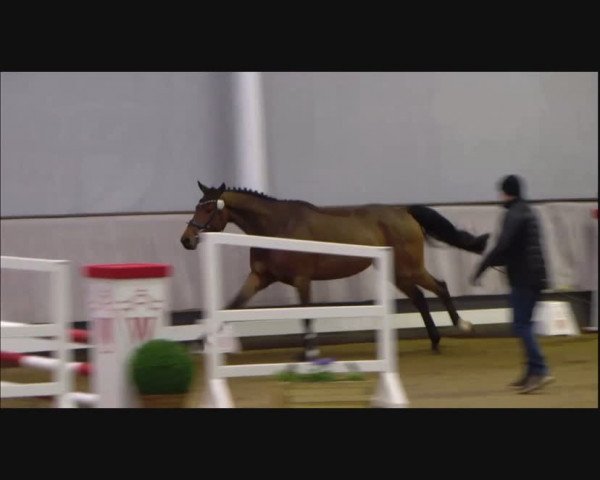 Video von Comme le Chica EH