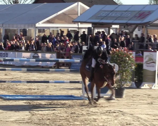 Reitturnier Werne-Lenklar 2022