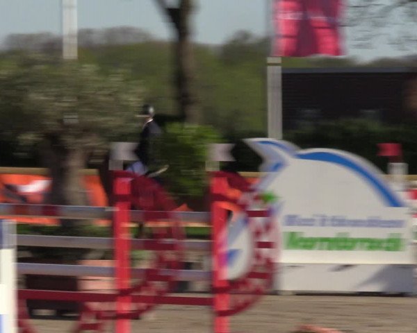 Lenklarer Reitertage 2022 (Werne)