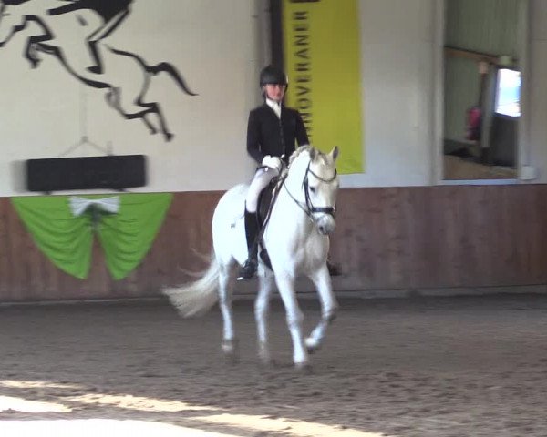 Reitturnier Dohren 2022