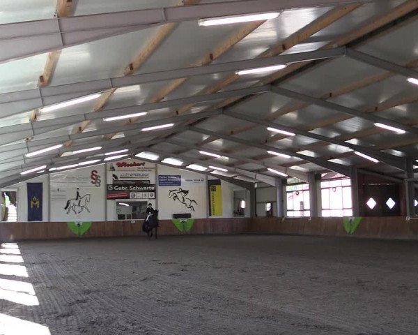 Reitturnier Dohren 2022