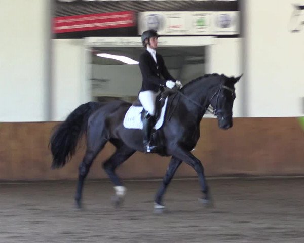 Reitturnier Dohren 2022