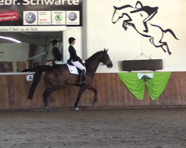 Reitturnier Dohren 2022