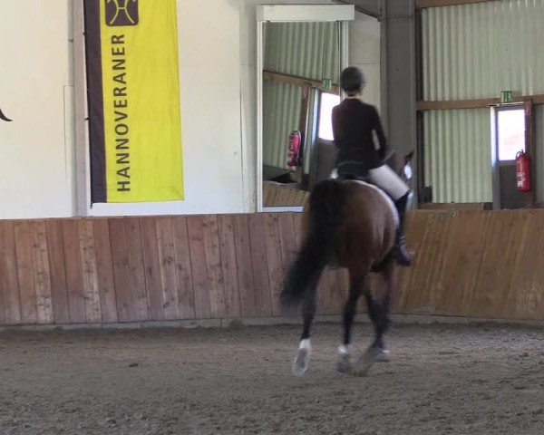 Reitturnier Dohren 2022