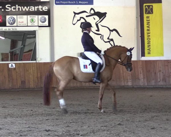 Reitturnier Dohren 2022