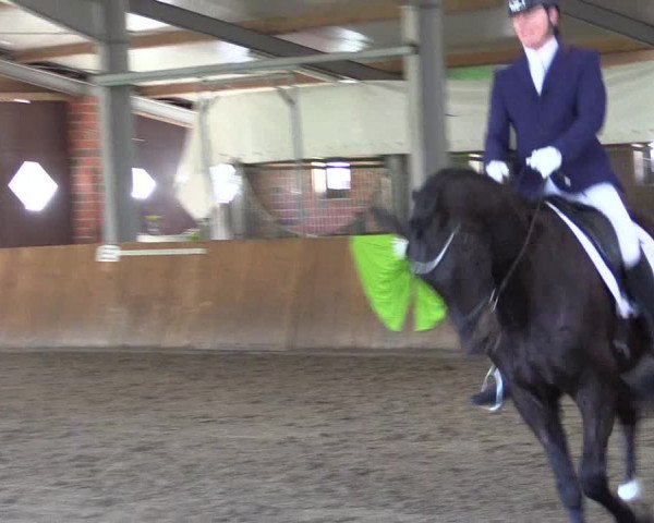 Reitturnier Dohren 2022