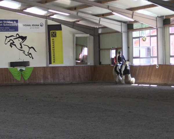 Reitturnier Dohren 2022