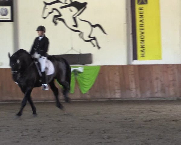 Reitturnier Dohren 2022