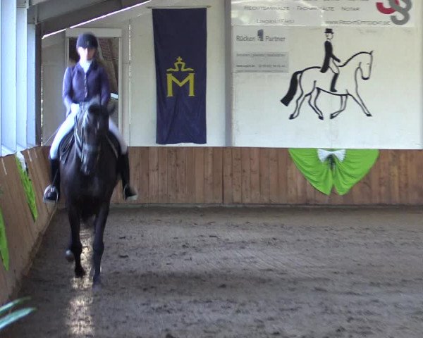 Reitturnier Dohren 2022