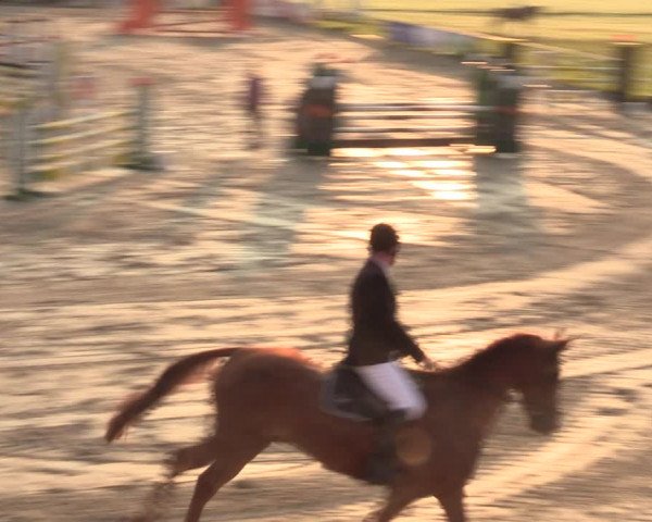 Springreitturnier Hohburg 2021
