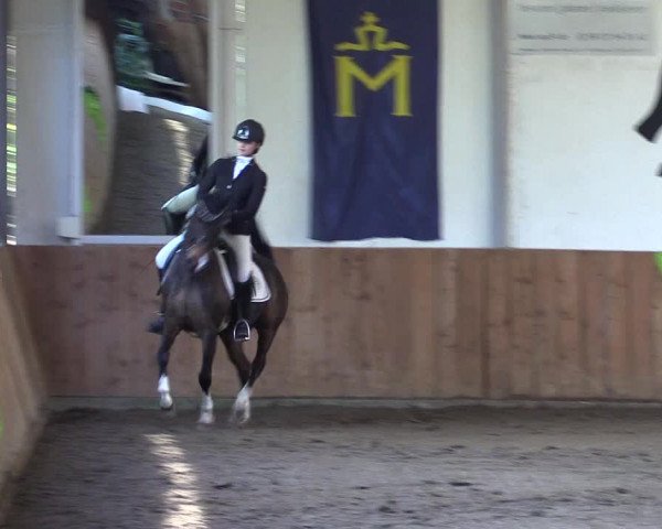 Reitturnier Dohren 2022