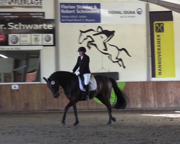 Reitturnier Dohren 2022