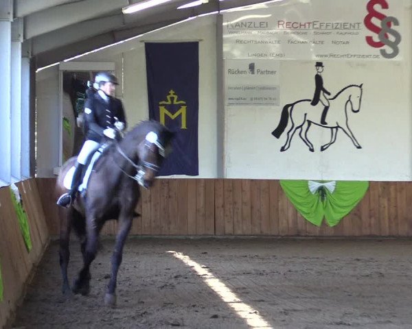 Reitturnier Dohren 2022