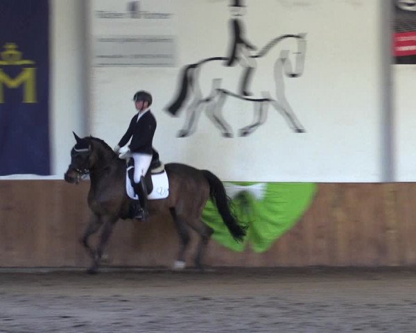 Reitturnier Dohren 2022