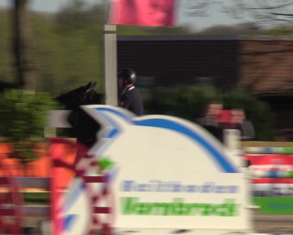 Lenklarer Reitertage 2022 (Werne)