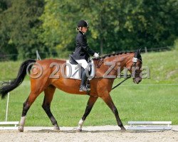 horse Linda 113 (Westphalian, 1995, from Lapaz L)