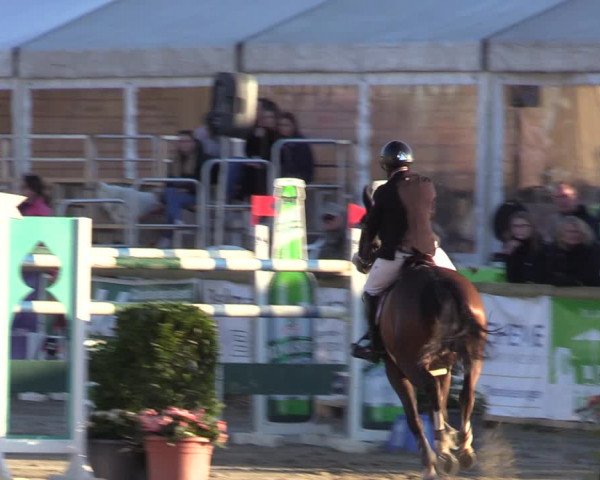 Lenklarer Reitertage 2022 (Werne)