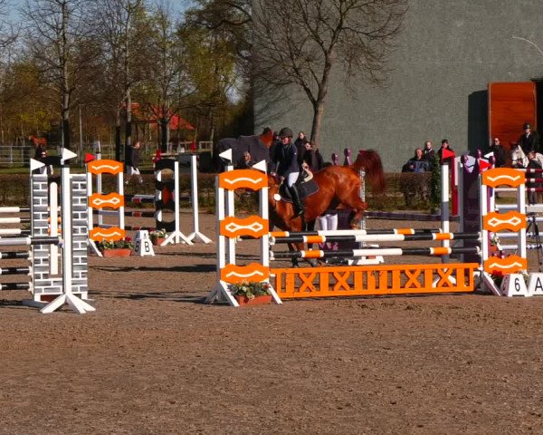 Reitturnier Neustadt/Dosse 2022