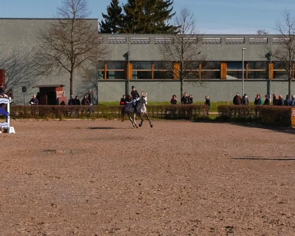Reitturnier Neustadt/Dosse 2022