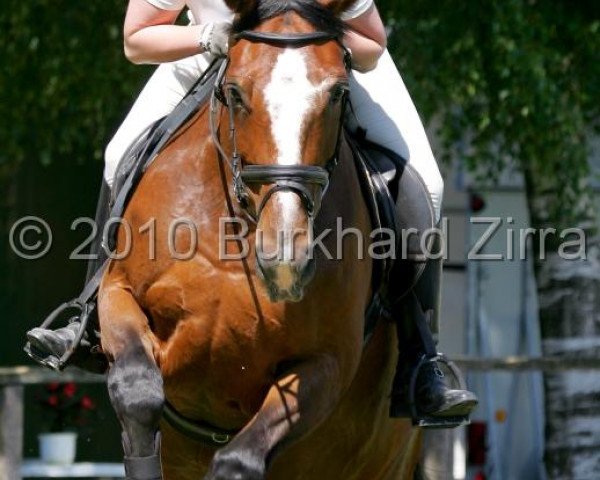 dressage horse Ariette (Westphalian, 1995, from Artwig)