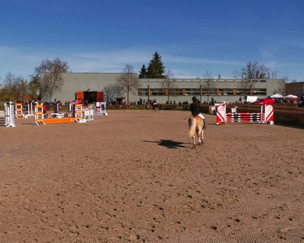 Reitturnier Neustadt/Dosse 2022