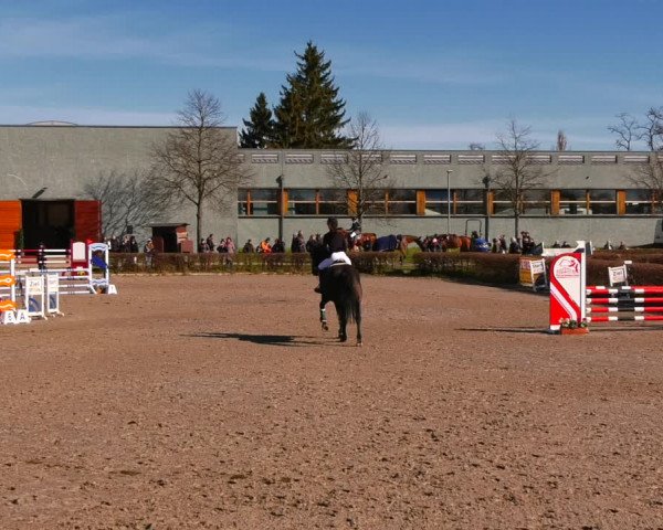 Reitturnier Neustadt/Dosse 2022