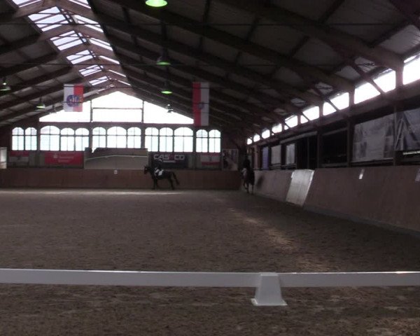Reitturnier Elisenau 2022