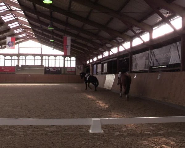 Reitturnier Elisenau 2022