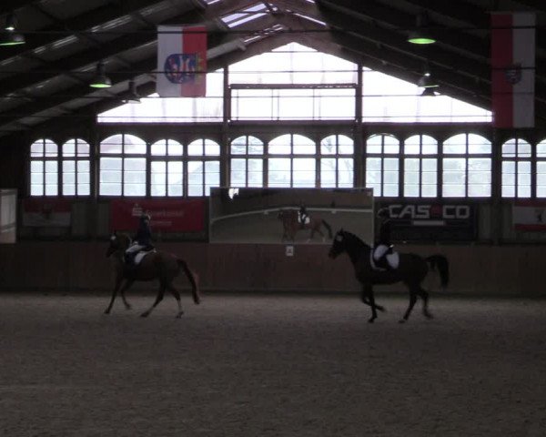 Reitturnier Elisenau 2022