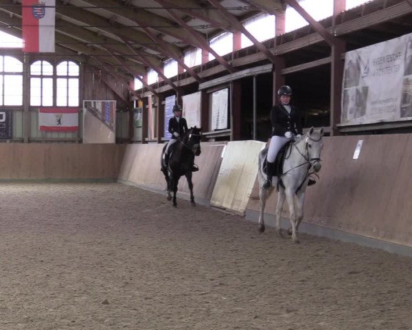 Reitturnier Elisenau 2022