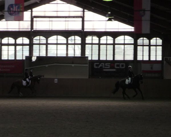 Reitturnier Elisenau 2022