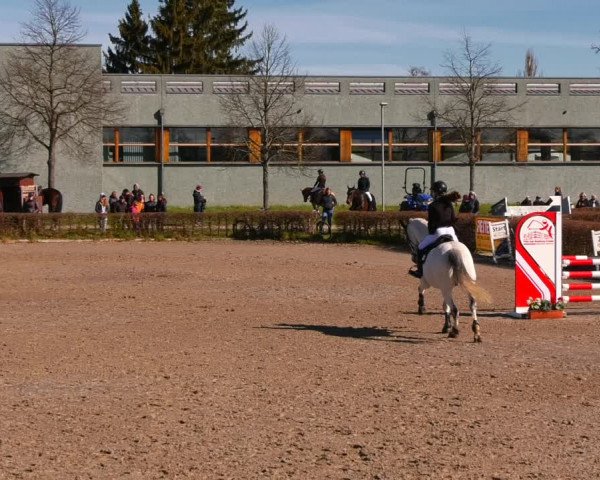 Reitturnier Neustadt/Dosse 2022